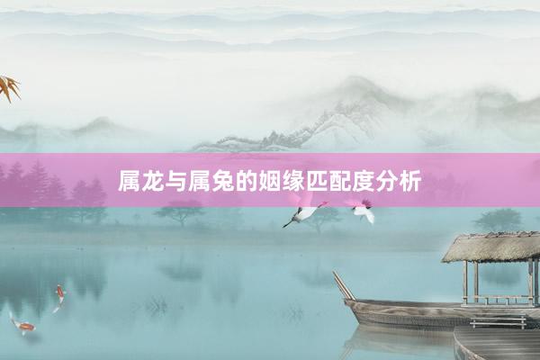 属龙与属兔的姻缘匹配度分析